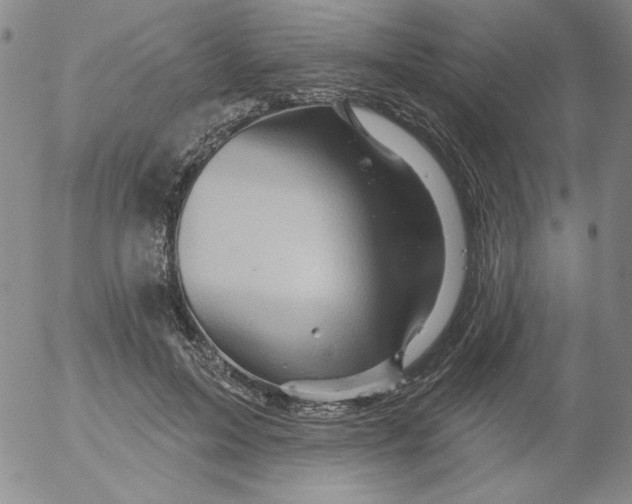 X0000053080599200508012008