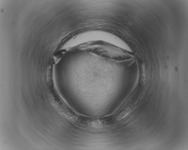 X0000053080600200508012008