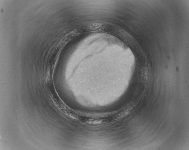 X0000053080602200508012008