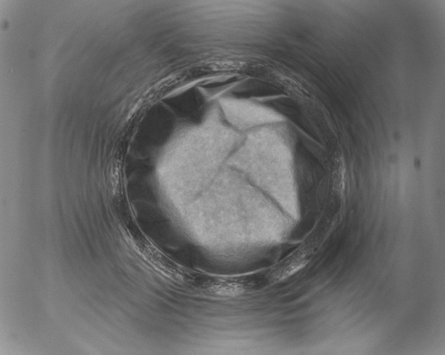 X0000053080604200508012008