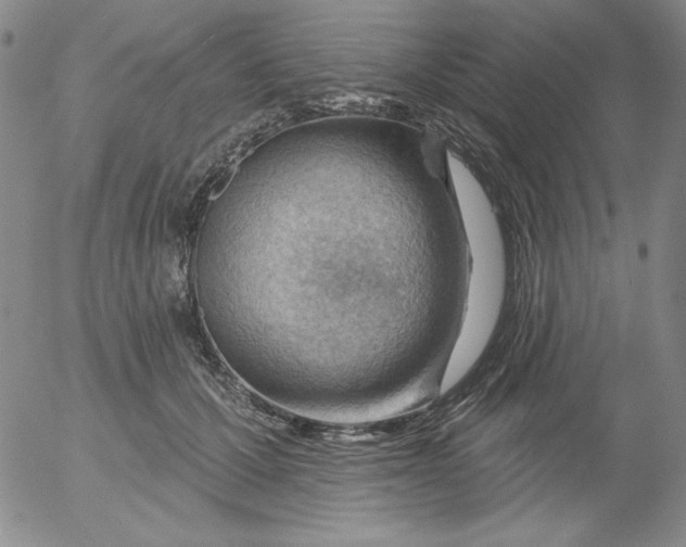 X0000053080607200508012008