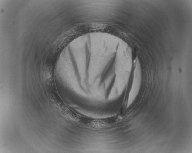 X0000053080608200508012008