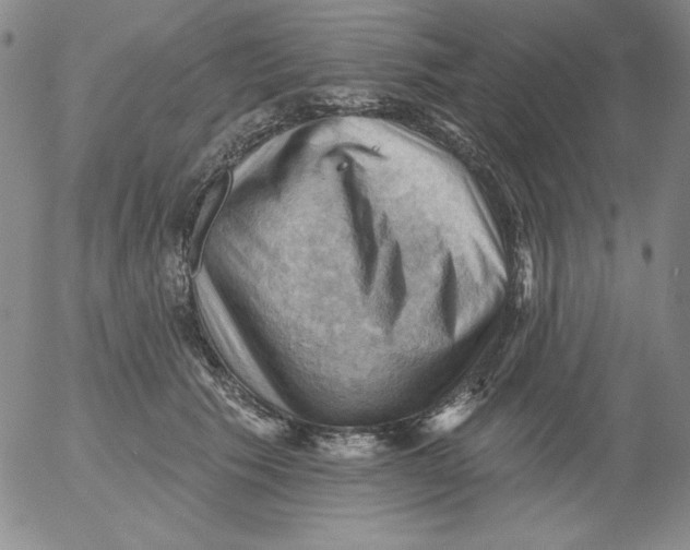 X0000053080609200508012008