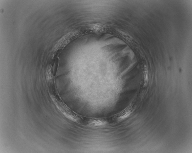 X0000053080611200508012008