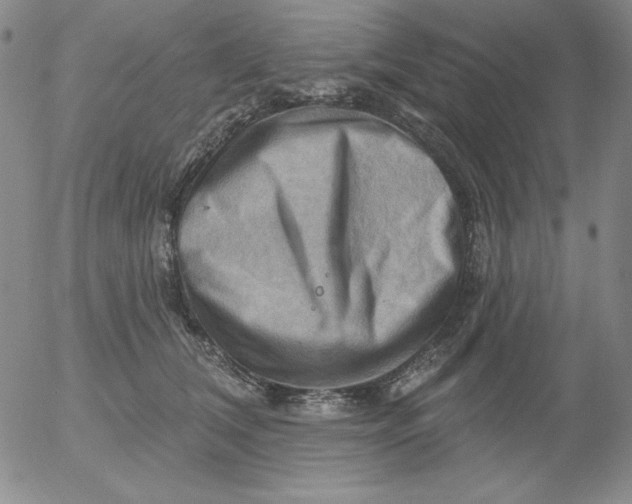 X0000053080612200508012008