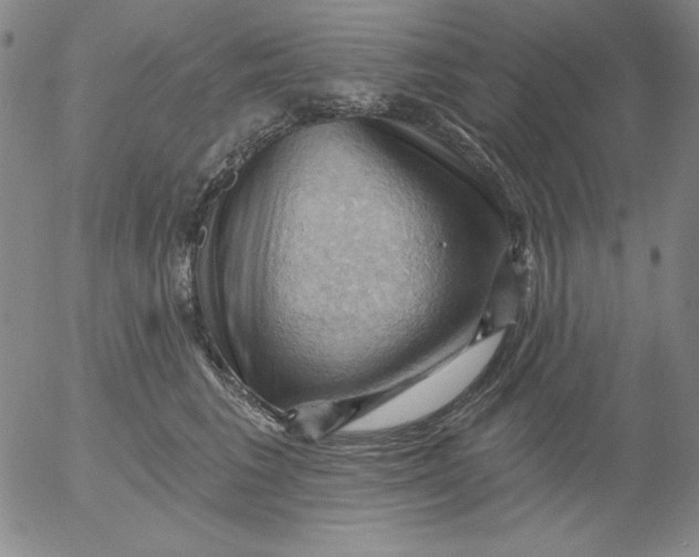 X0000053080613200508012008