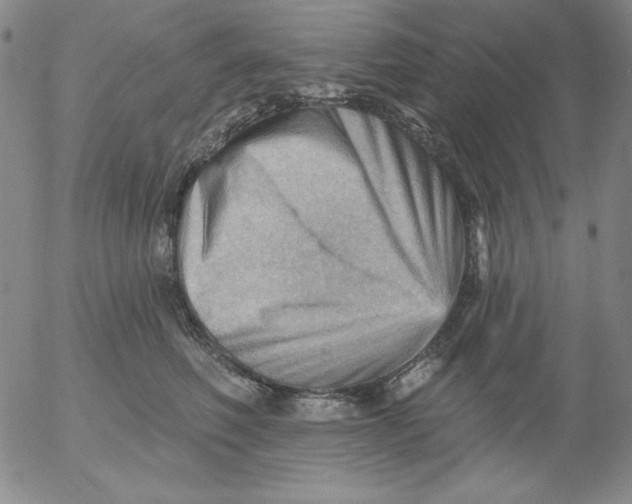 X0000053080614200508012008