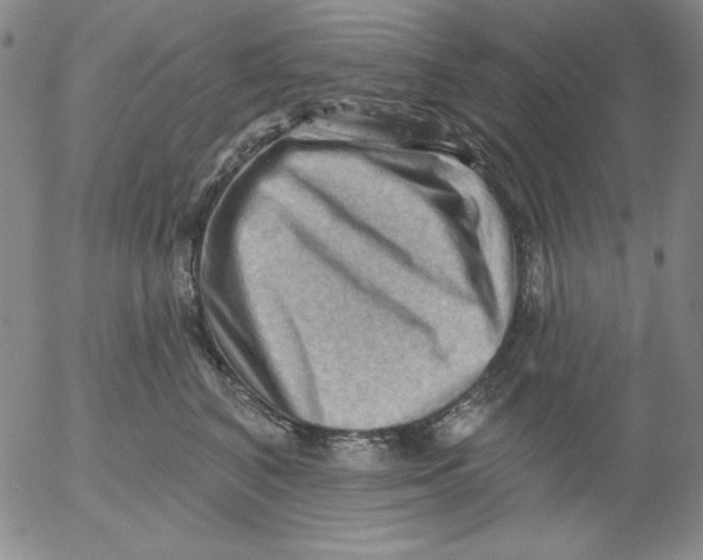 X0000053080616200508012008