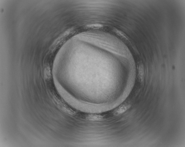 X0000053080617200508012008