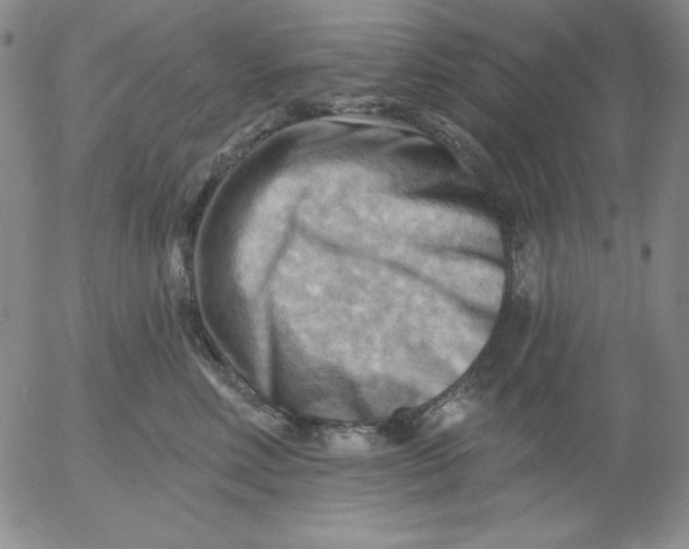 X0000053080618200508012008