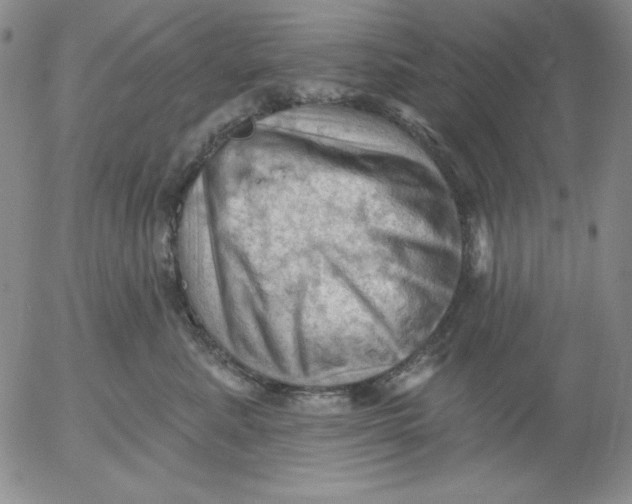 X0000053080619200508012008