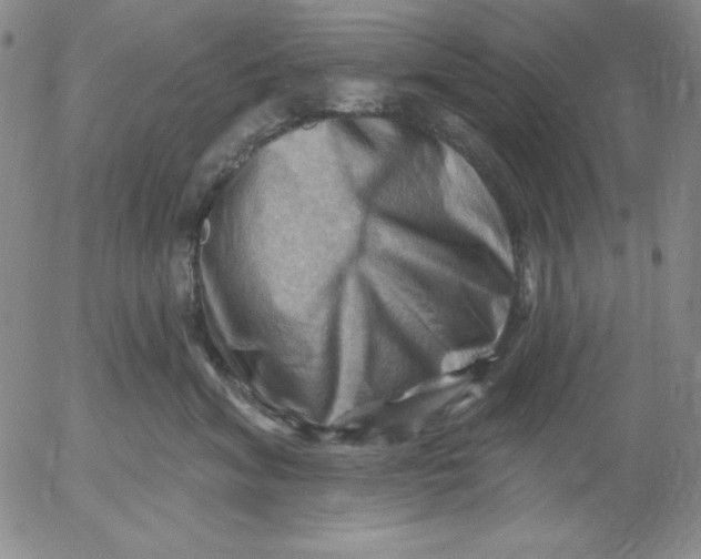 X0000053080620200508012008