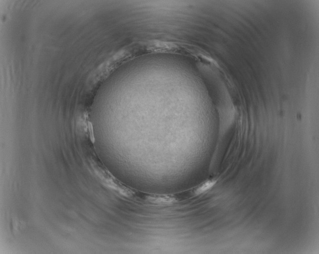 X0000053080621200508012008