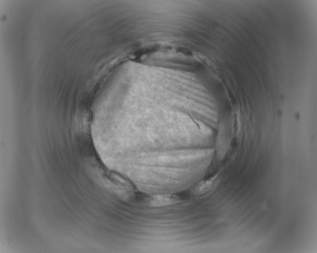 X0000053080623200508012008