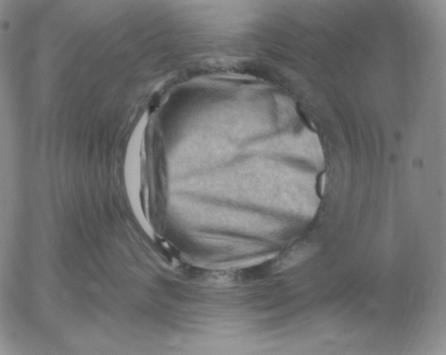 X0000053080624200508012008