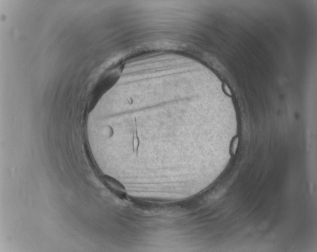 X0000053080625200508012007