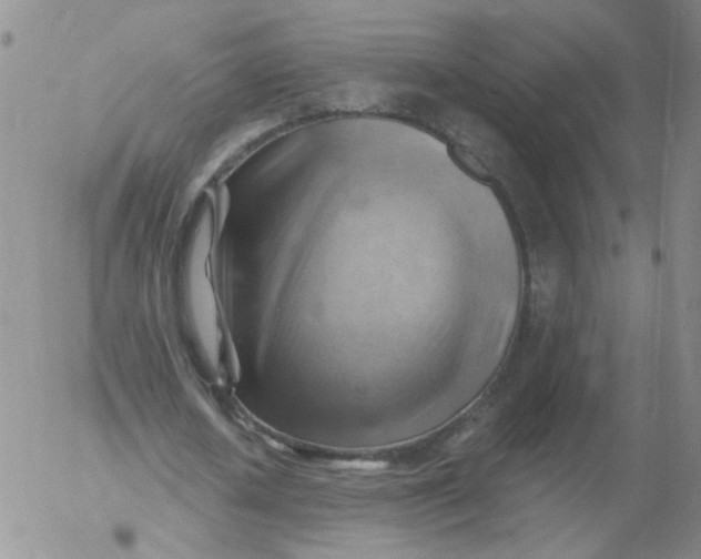 X0000053080626200508012007