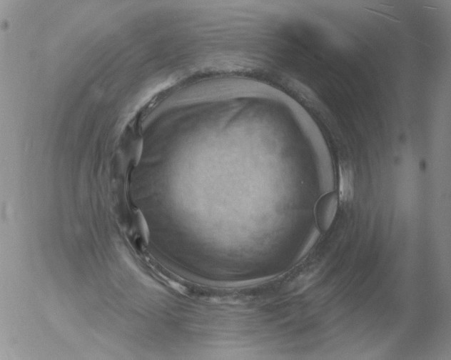 X0000053080627200508012007