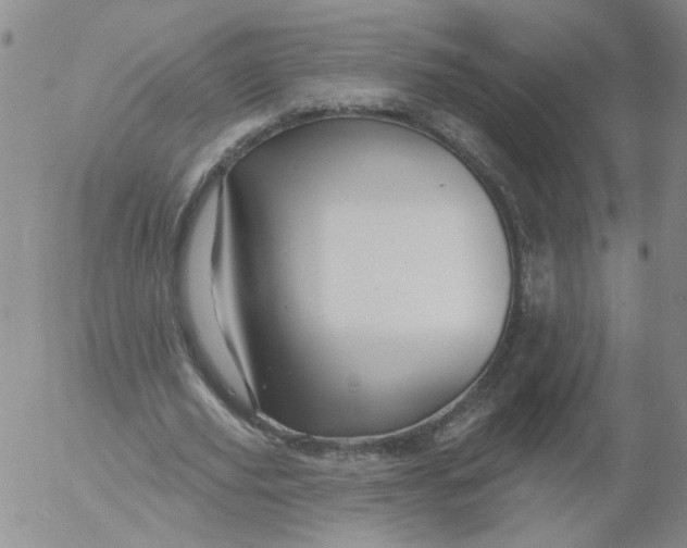 X0000053080629200508012007