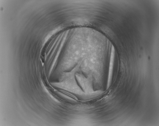 X0000053080630200508012007