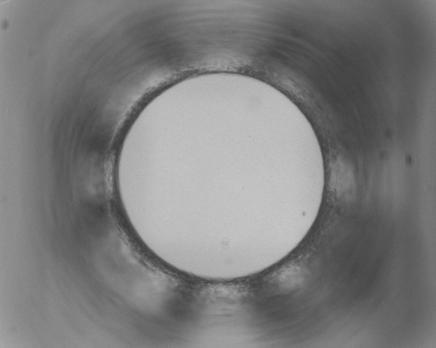 X0000053080632200508012007