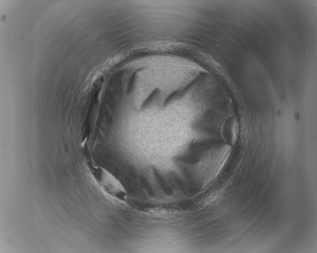 X0000053080633200508012007