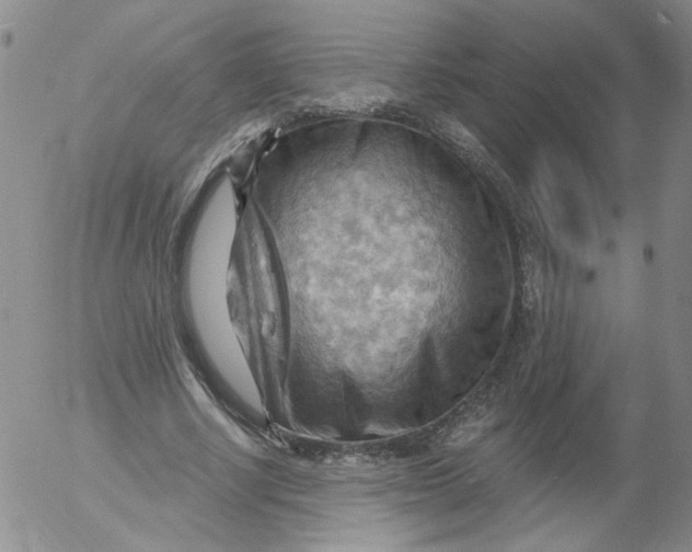 X0000053080634200508012007