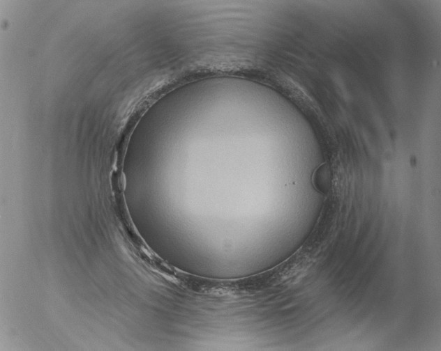 X0000053080635200508012007