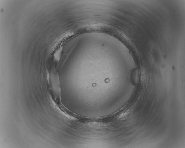 X0000053080637200508012007