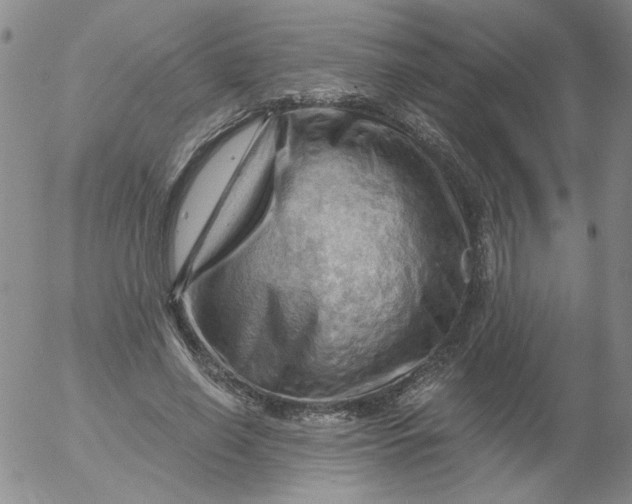 X0000053080638200508012007