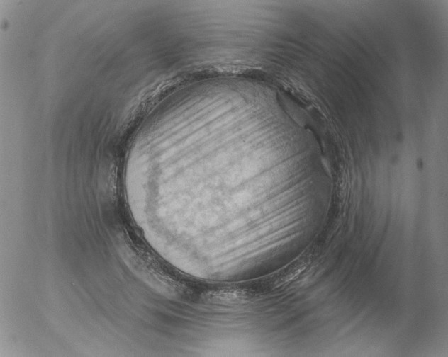 X0000053080639200508012007