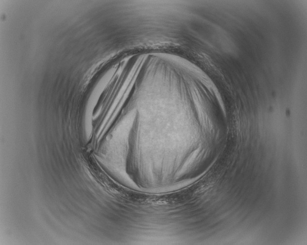 X0000053080640200508012007