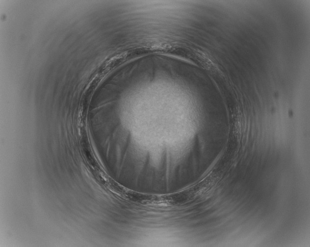 X0000053080643200508012007