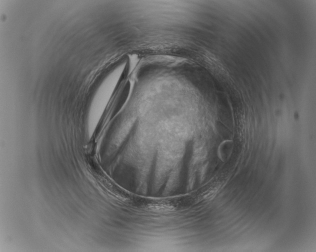 X0000053080644200508012007