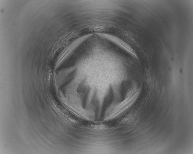 X0000053080645200508012007