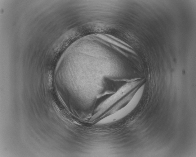 X0000053080646200508012007