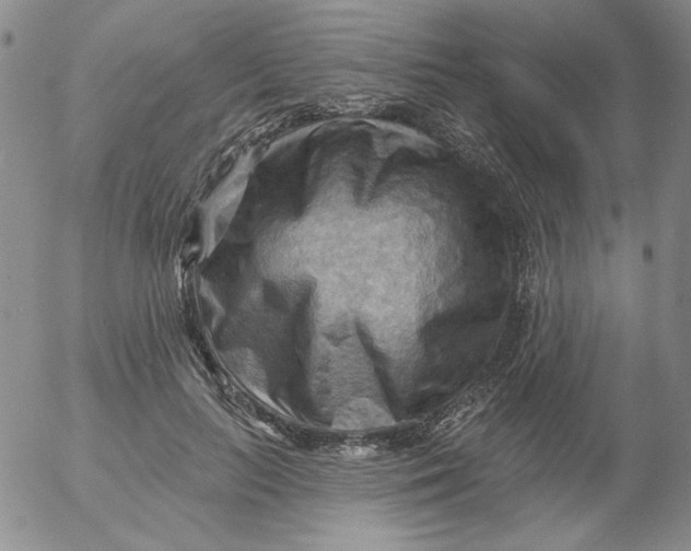 X0000053080647200508012007