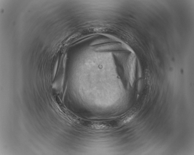 X0000053080650200508012007