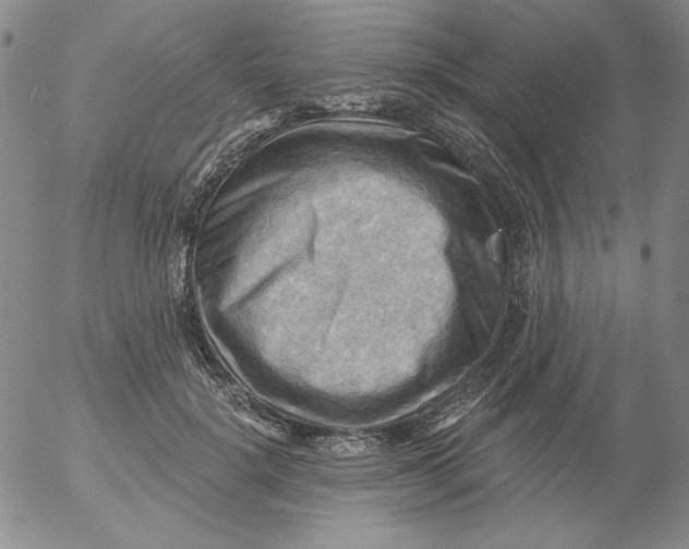 X0000053080652200508012007