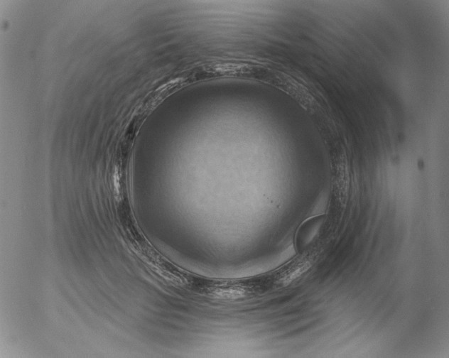 X0000053080653200508012007