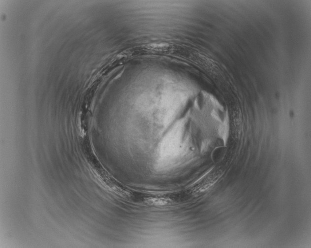 X0000053080654200508012007