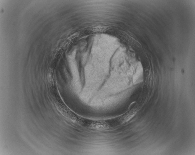 X0000053080655200508012007