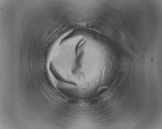 X0000053080656200508012007