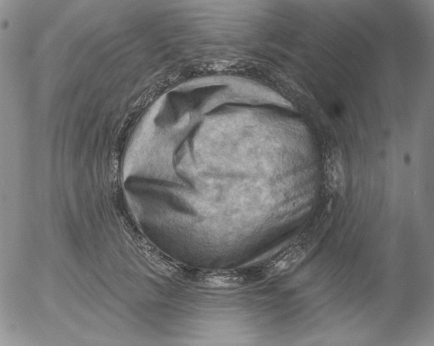 X0000053080657200508012007