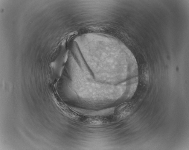 X0000053080658200508012007