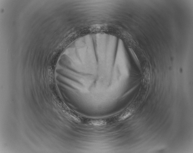 X0000053080659200508012007