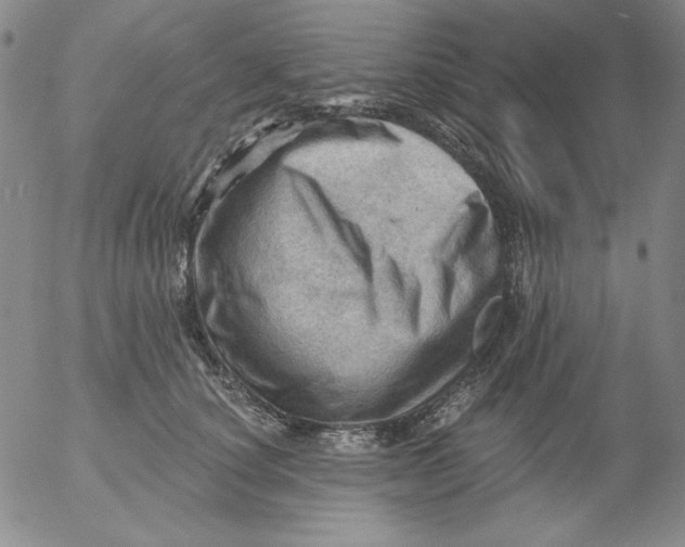 X0000053080660200508012007