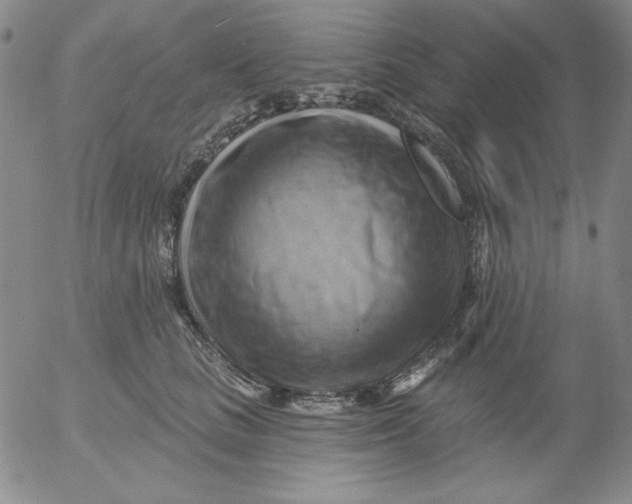 X0000053080661200508012007