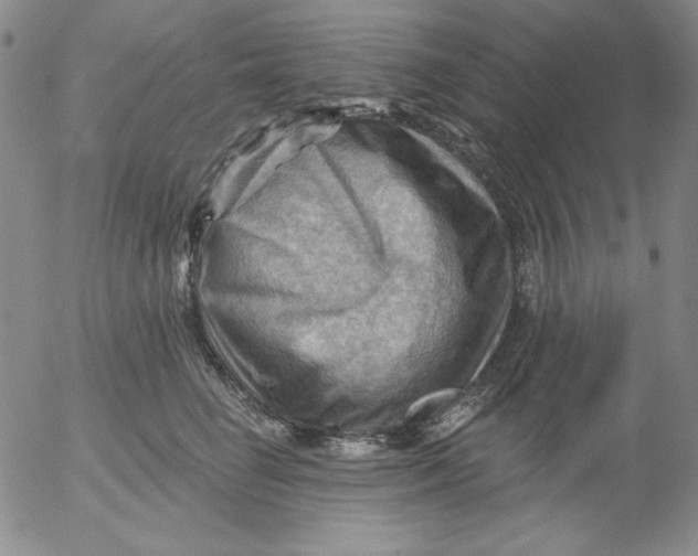 X0000053080662200508012007