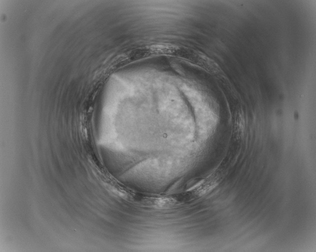 X0000053080663200508012007